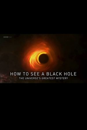 How to See a Black Hole: The Universe's Greatest Mystery's poster