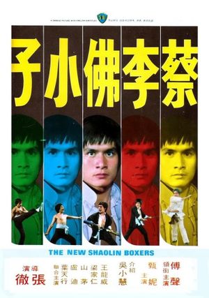 The New Shaolin Boxers's poster