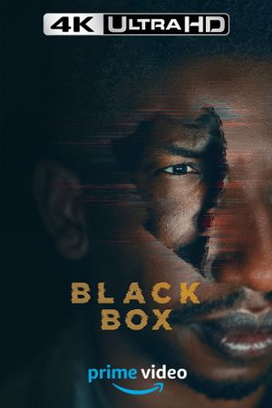 Black Box's poster
