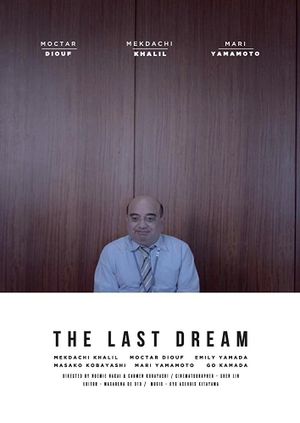 The Last Dream's poster