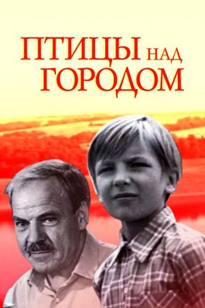 Ptitsy nad gorodom's poster