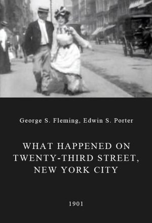 What Happened on Twenty-Third Street, New York City's poster