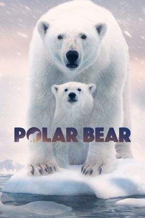 Polar Bear's poster
