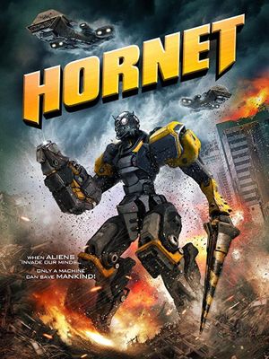 Hornet's poster