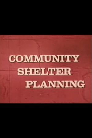 Community Shelter Planning's poster
