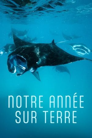 Notre année sur Terre's poster