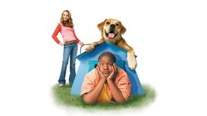 Life Is Ruff's poster