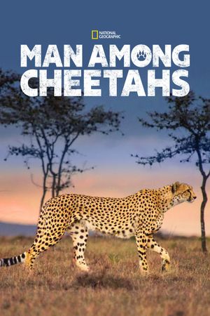 Man Among Cheetahs's poster