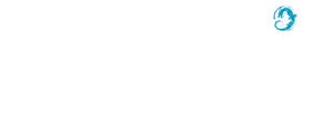 Dragon's poster