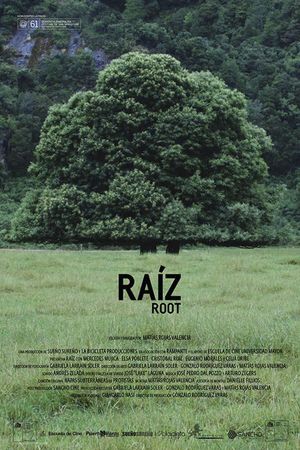 Root's poster