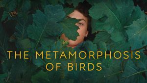 The Metamorphosis of Birds's poster