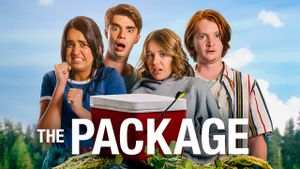 The Package's poster