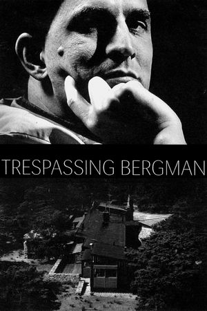 Trespassing Bergman's poster