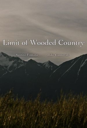 Limit of Wooded Country's poster