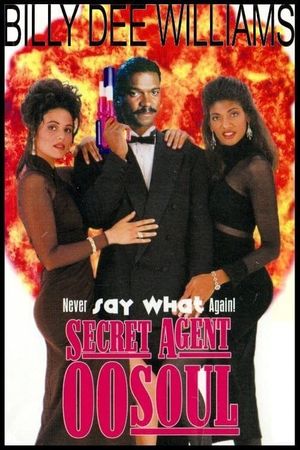 Secret Agent OO Soul's poster