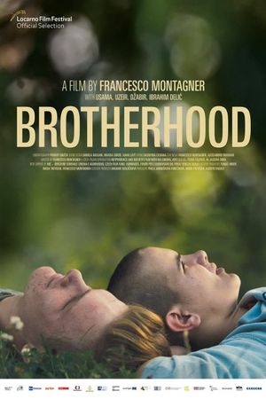 Brotherhood's poster