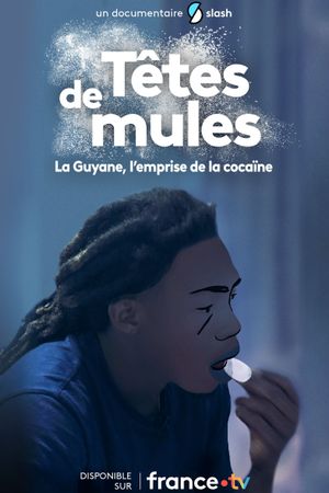 Têtes de mules : La Guyane, l'emprise de la cocaïne's poster