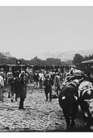 Marché aux boeufs, I's poster