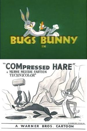 Compressed Hare's poster