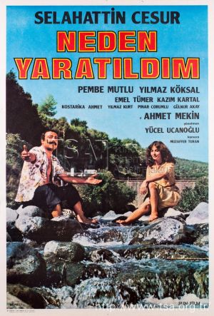 Kaderimiz's poster