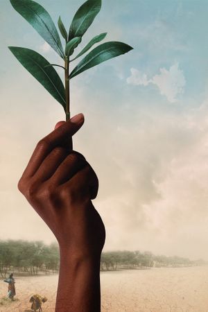 The Great Green Wall's poster