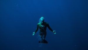 Freediver's poster