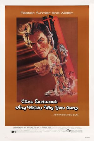 Any Which Way You Can's poster
