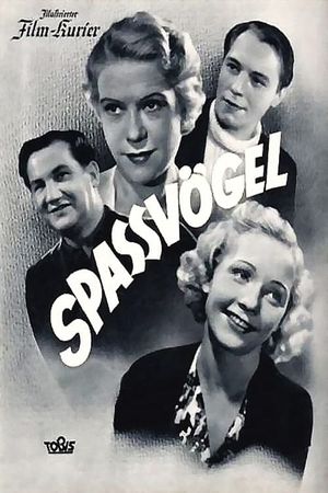 Spaßvögel's poster