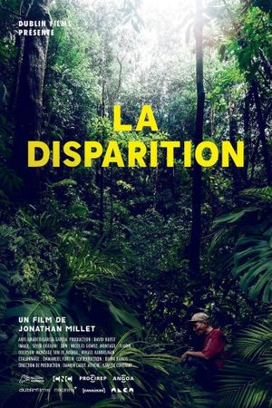 The Disappearance's poster