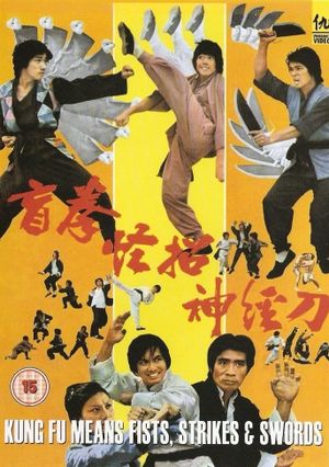 Kung Fu Means Fists, Strikes and Swords's poster image