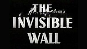 The Invisible Wall's poster