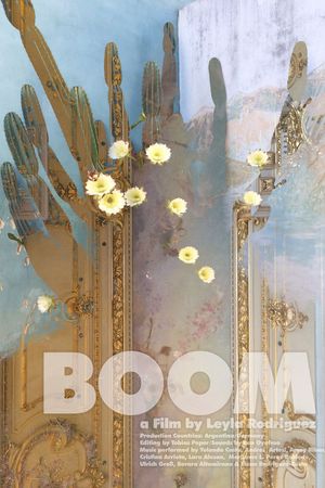 Boom's poster