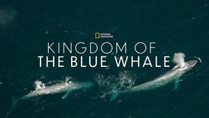 Kingdom of the Blue Whale's poster