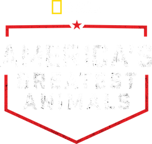 America's Greatest Animals's poster