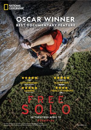 Free Solo's poster