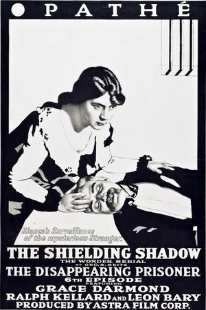 The Shielding Shadow's poster