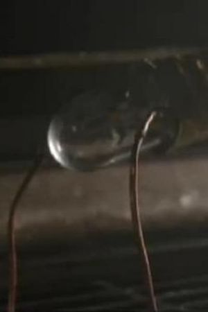 The Origins of Electricity's poster