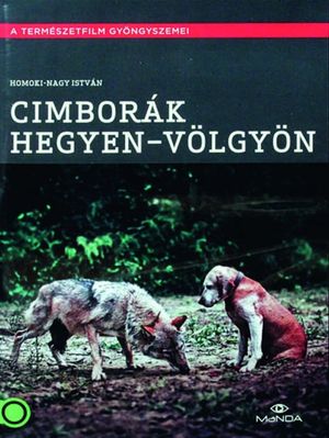 Cimborák - Hegyen-völgyön's poster