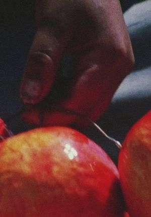 Fake Fruit Factory's poster