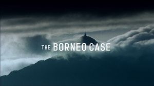 The Borneo Case's poster