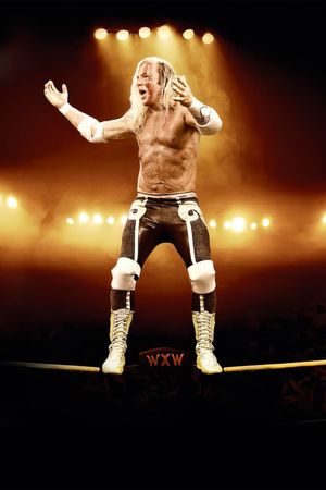 The Wrestler's poster
