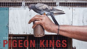 Pigeon Kings's poster