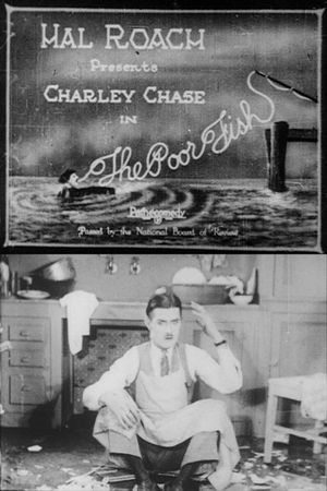The Poor Fish's poster