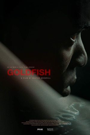 Goldfish's poster