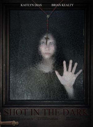 Shot in the Dark's poster