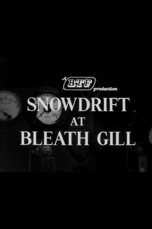 Snowdrift at Bleath Gill's poster