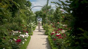 Painting the Modern Garden: Monet to Matisse's poster