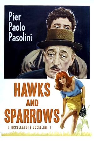 The Hawks and the Sparrows's poster