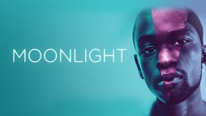 Moonlight's poster