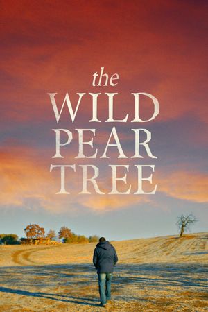 The Wild Pear Tree's poster